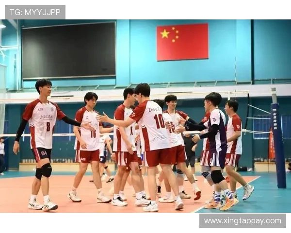 上海排球队配合默契创历史新高引领全国排球发展潮流