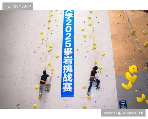 南京攀岩队防守革新探秘如何提升竞技水平与团队协作能力