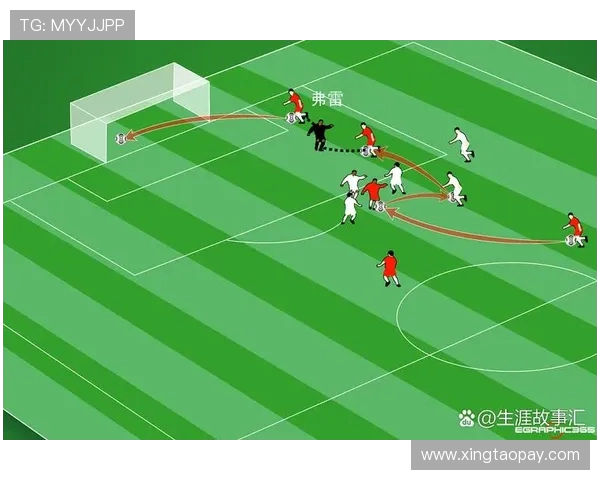 南京飞盘队灵活性引发热议球员表现与战术选择的深度探讨